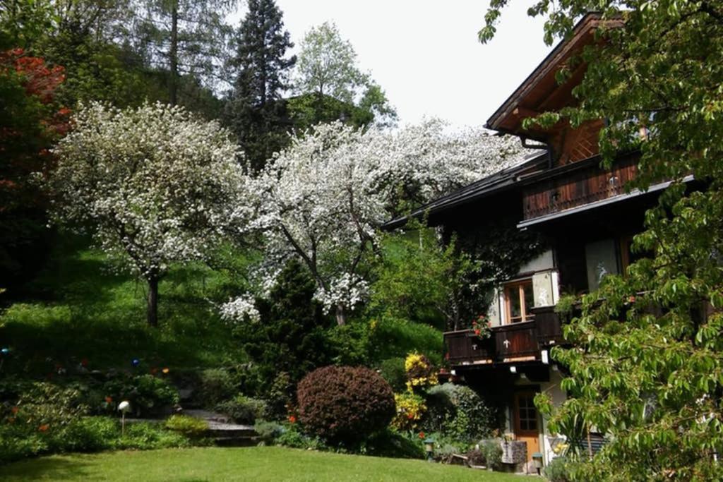 Haus Weidmannsheil - Wohnen Im Romantischen Forsthaus Werfen Eksteriør billede