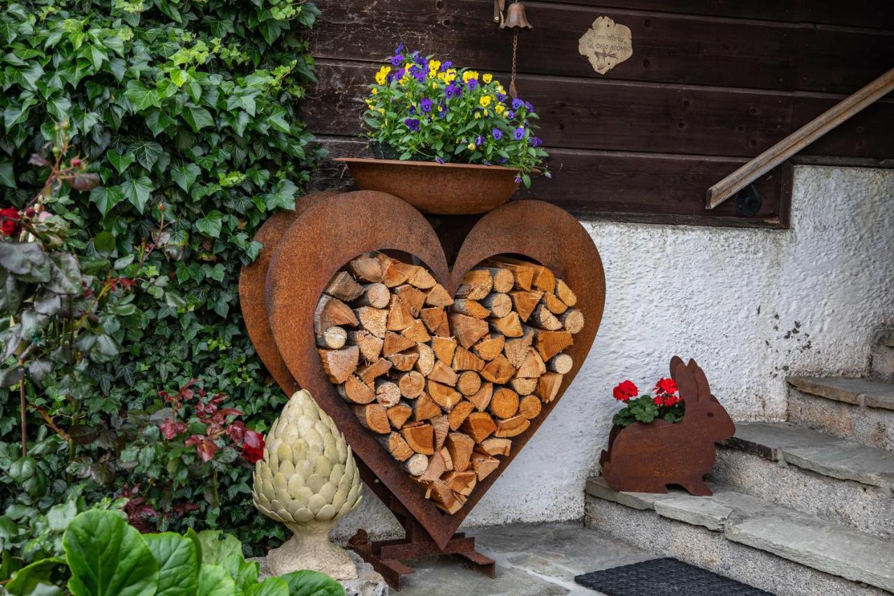 Haus Weidmannsheil - Wohnen Im Romantischen Forsthaus Werfen Eksteriør billede